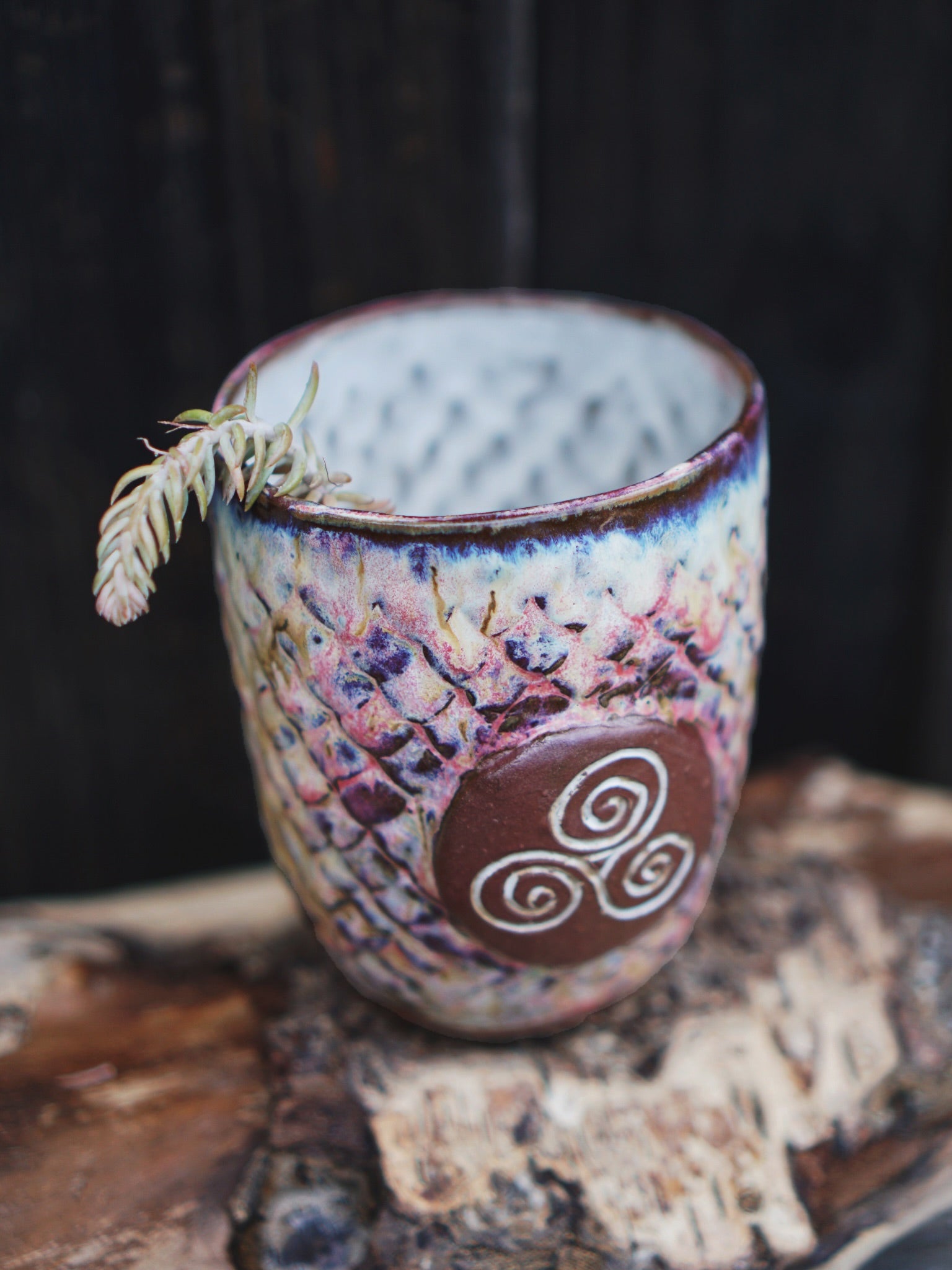 Magic Dragon Cup TRISKELE - Aura