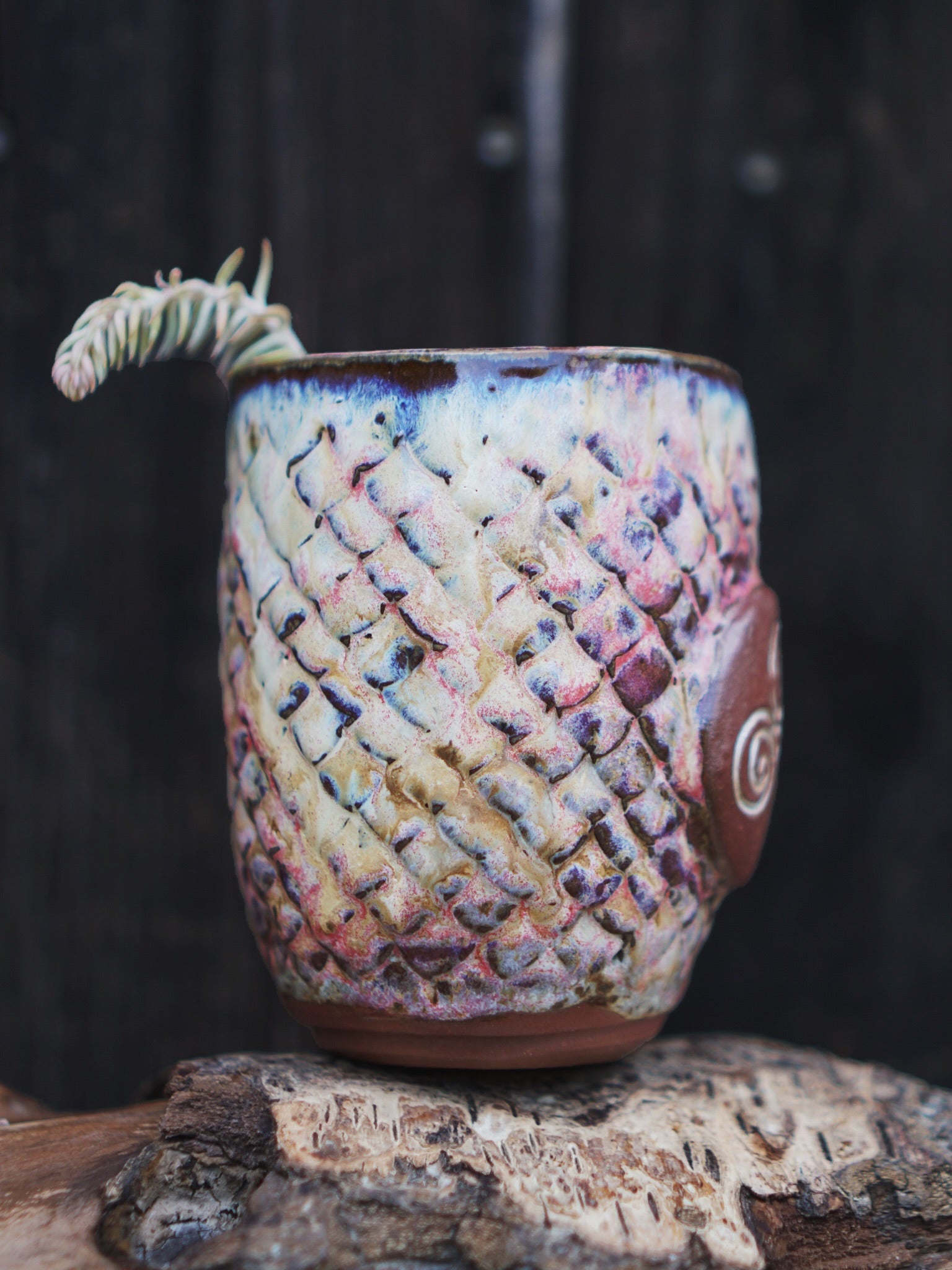Magic Dragon Cup TRISKELE - Aura