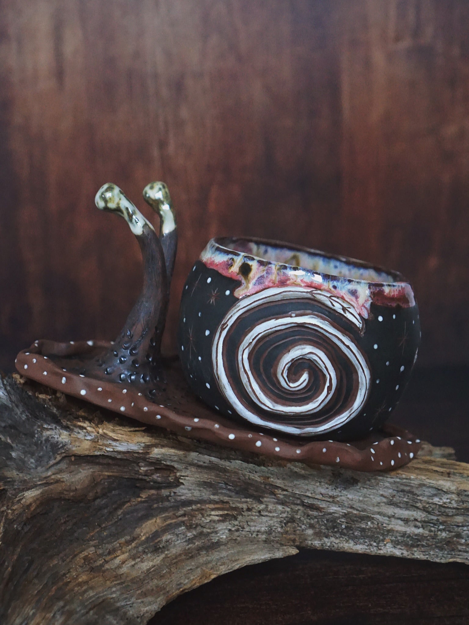 Lunella the magic Night Snale