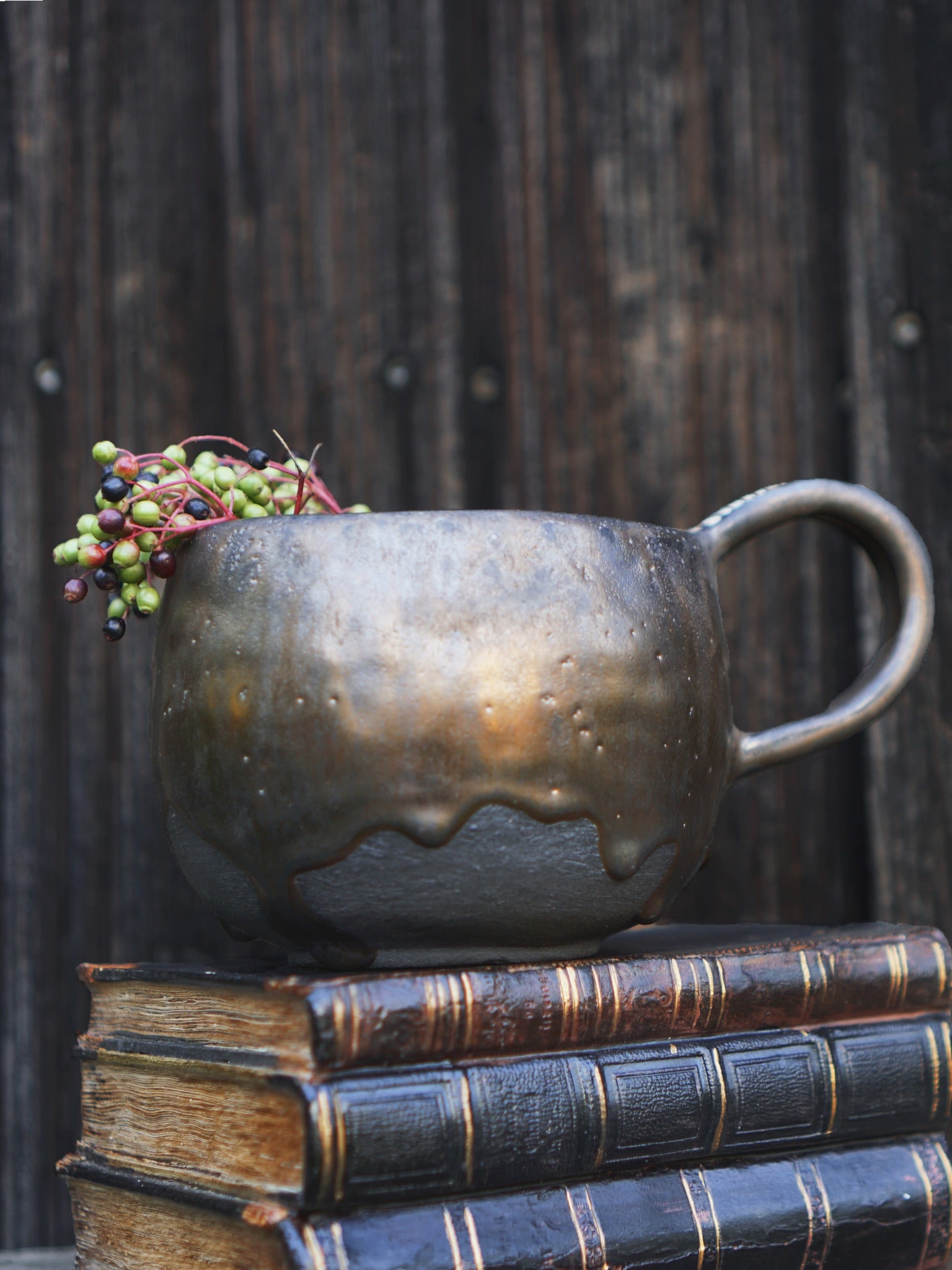 Spirit Animal Mug - The Flying Moon Owl