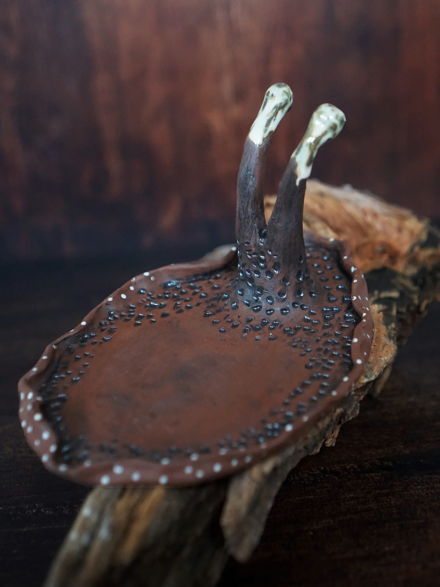 Lunella the magic Night Snale